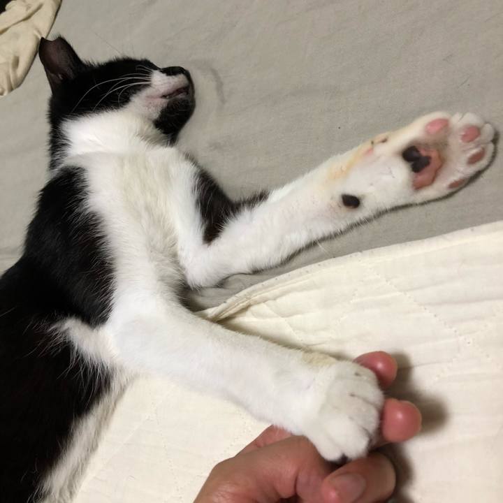 B67b1f18 92cb 4cde bca1 31a279048882 1530885284942