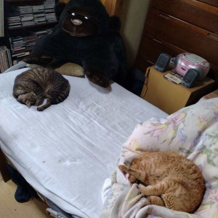 B67b3cfe c161 48fb 89a5 54b033cf742a 1687838204963