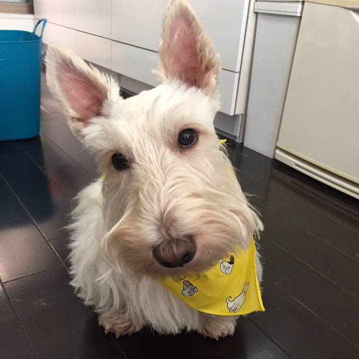 B67b5864 aa17 4e2a bb0b f23be2124ea0 1533306597265