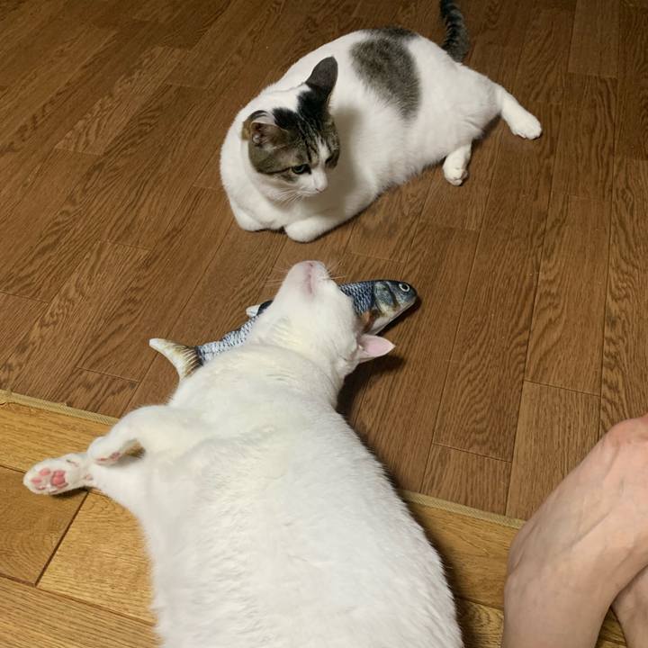 B67b5b56 ccad 43a0 912d b42d4628bd5b 1627908503846