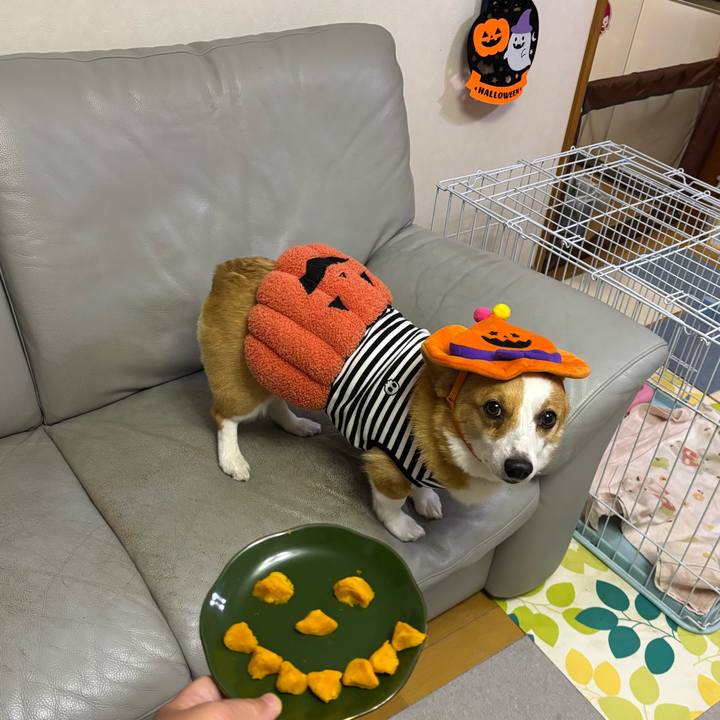 B67b618c 901a 4bc9 8221 3248a67fb4cd 1761930975872