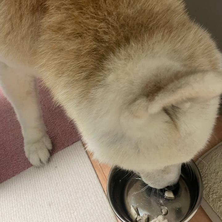 B67b62b2 ea0c 450a 8022 f3ef97dcd12a 1758718449680