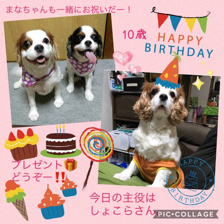 B67bb210 7b5d 478e 838c b91ccd08998d 1541948403798