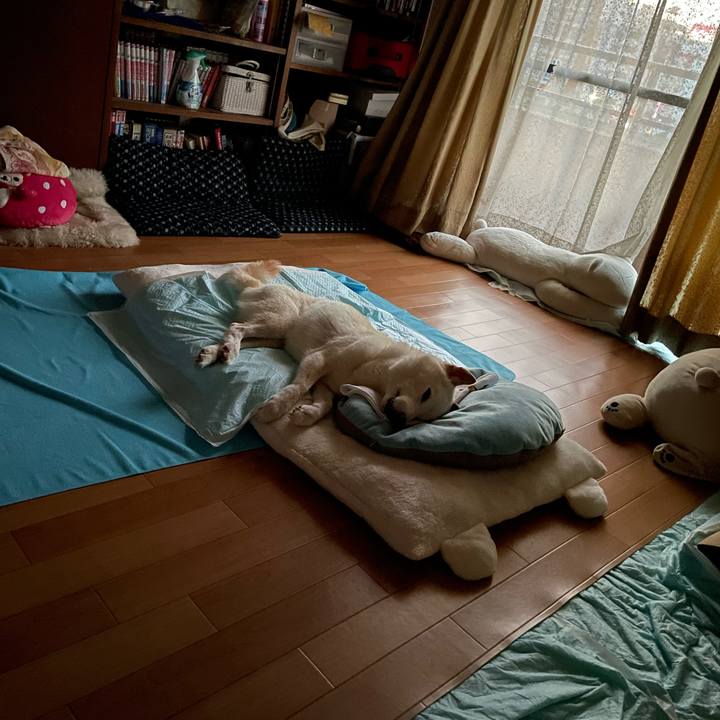 B67bbd78 f632 4a36 92d0 13f2d99f8519 1664743843871