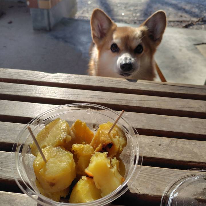 B67bc1a0 5e95 4979 8fff 8b3249d2373e 1739091639101