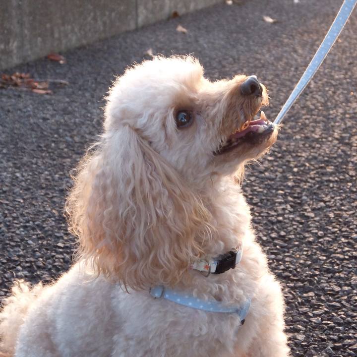 B67be089 1be2 4612 82e2 c6c7be2992fe 1600469166975