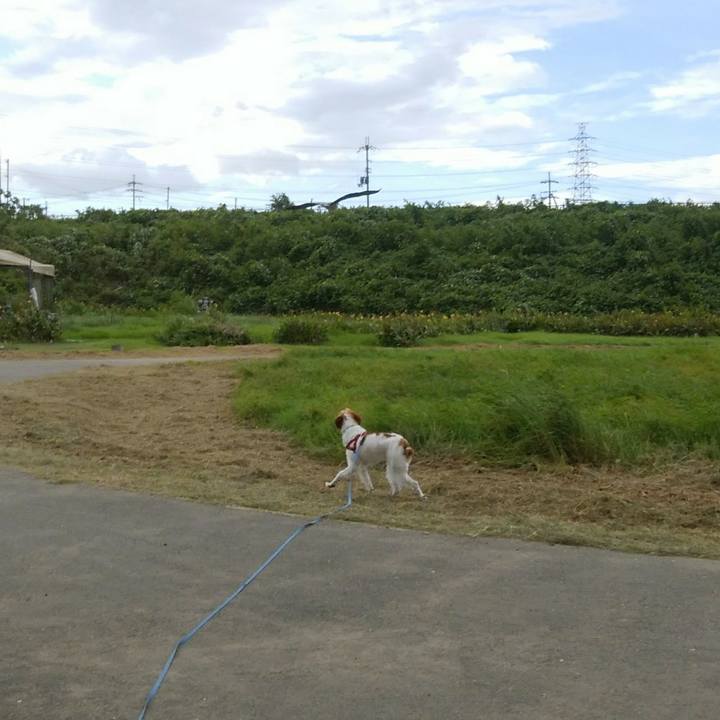 B67c1e3d 3a37 458c a650 25e025d45c73 1535023890360