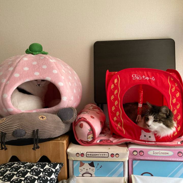 B67c4683 e33a 4f4e 9262 ec15c6fa1387 1759619407222