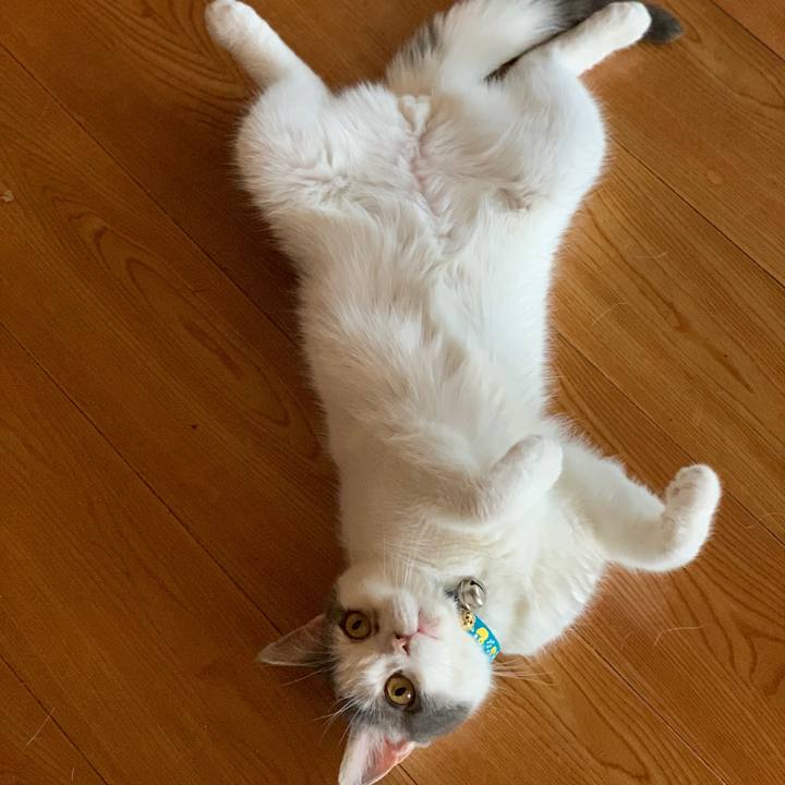 B67c484e 62c5 421c 867a 3a4502e55e1d 1628471365996