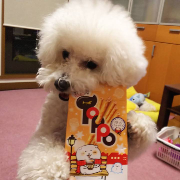 B67c65a2 45e0 42e4 a144 993adbbe9d88 1516851319674