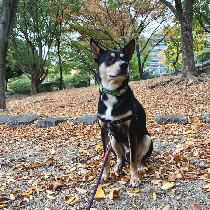 B67c6d18 3f0c 487a 9a72 bb9041eb92cd 1574383825920