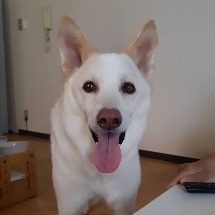 B67c92c0 deb2 4682 a100 8c78311245b0 1755535945111