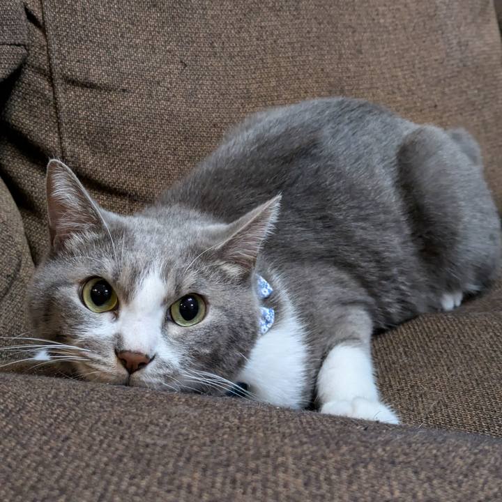 B67ccb5f adaf 4d73 aaec 06ece33bb663 1729499344387