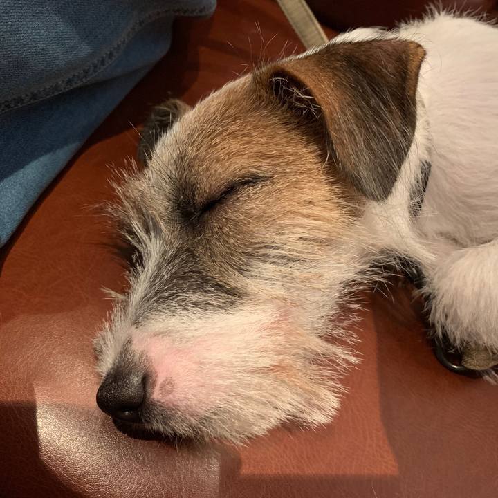 B67cf23c 93db 4b92 8609 59e950bada2d 1566085178062