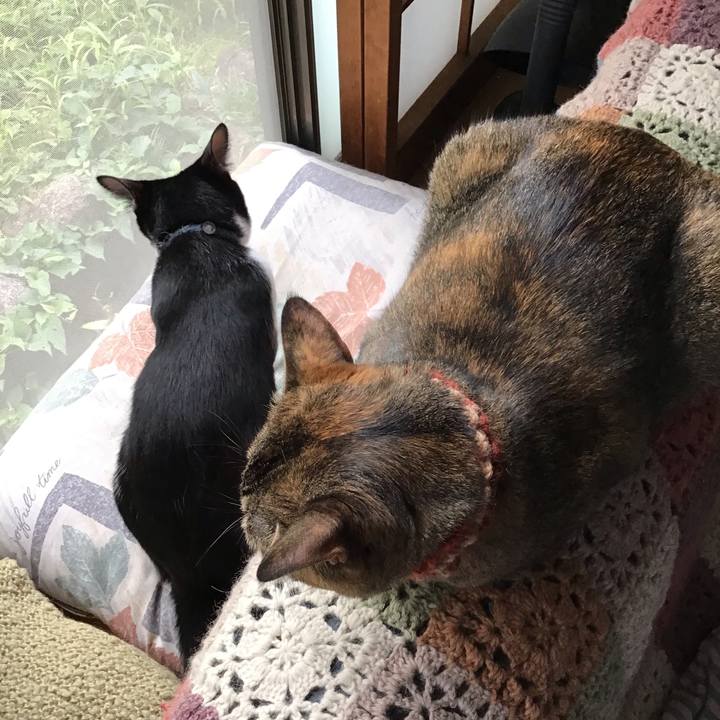 B67cfbd4 3638 4510 a929 e4cd3e081c03 1631607135949