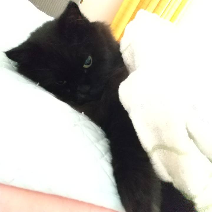 B67d0d1a 8c59 4b2a 96ba 73d938d57e8b 1596846201980