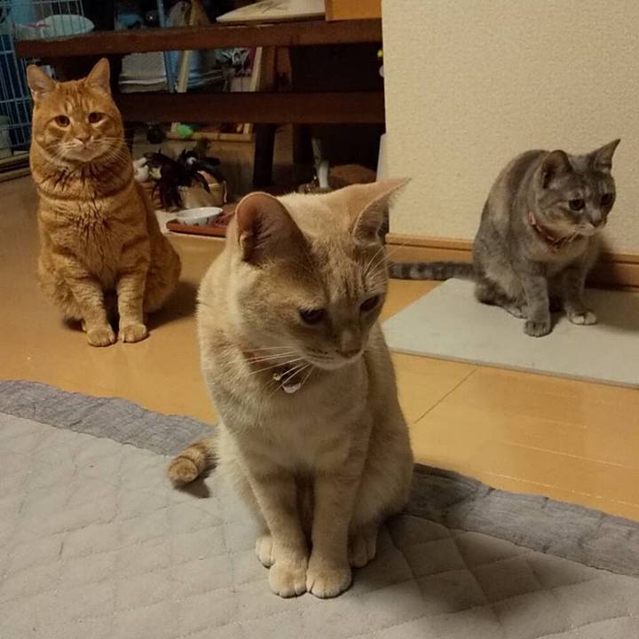 B67d1fb7 2064 4bc2 b169 a2ef050562be 1592575957213