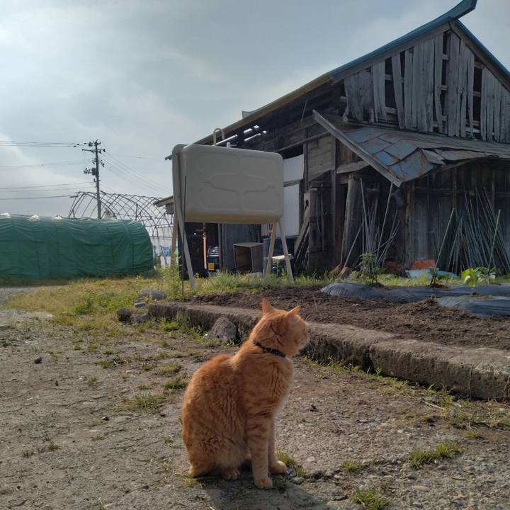 B67d34f3 ced0 46f9 91c1 f3ba7a5f175e 1684624039541