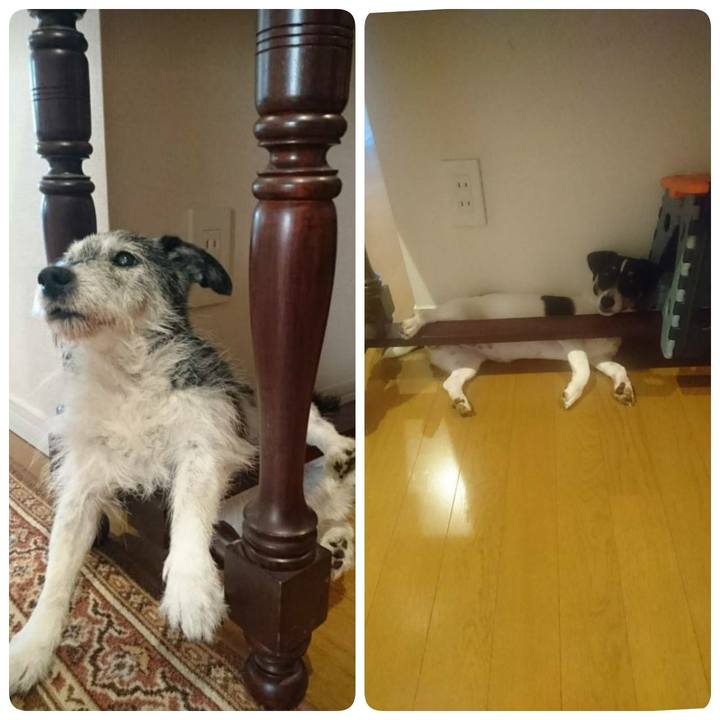 B67d35e6 73d6 4752 bf64 5ab8d7dcaed1 1534486187670