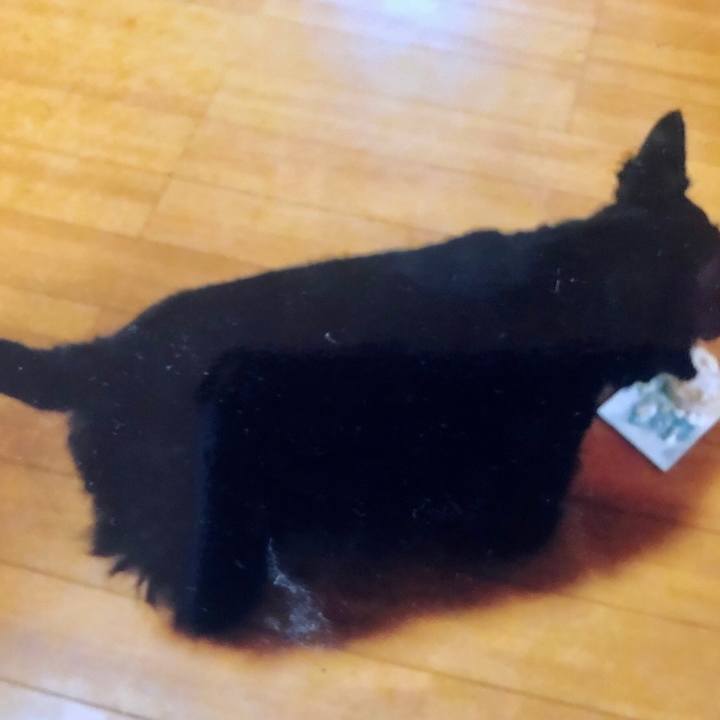 B67d68d8 477e 4238 ab93 26c402ed734d 1604040084176