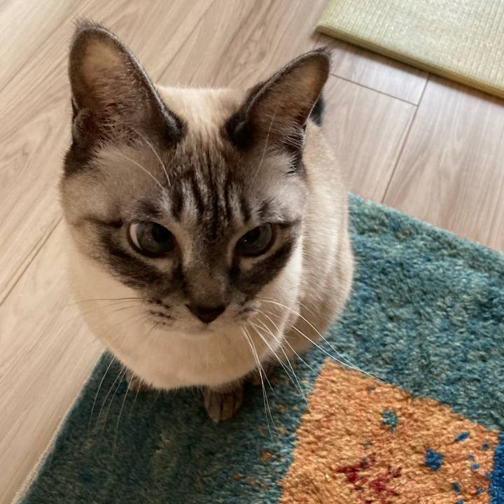 B67dab7a c3af 4636 a114 9156c18d6175 1766811293137