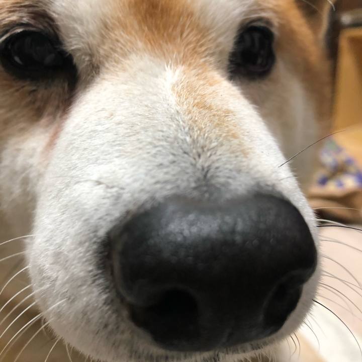 B67dccdf 112b 4c79 a84b 67a1d6598be3 1546689610590