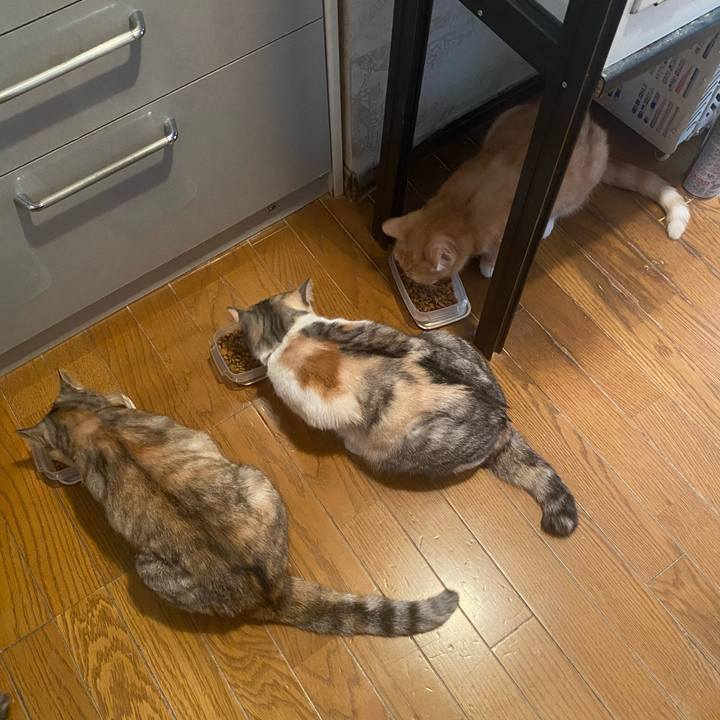 B67e1cd6 d810 4726 8ac6 334f92dfb96d 1623552176433