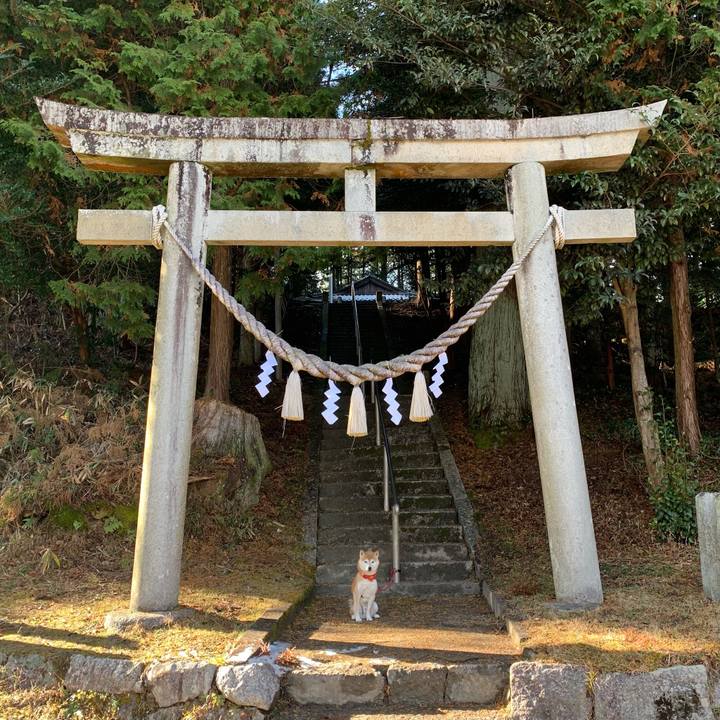 B67e2607 5a08 4f4b 96dc 05584e4211c0 1610787971802