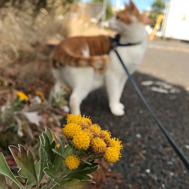 B67e2a31 a2d2 4cbe 8e97 5754d2d30160 1512462894039