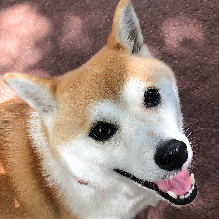 B67e32a4 cb9c 4d70 b7d3 dbc8d7a1aebc 1599349823605