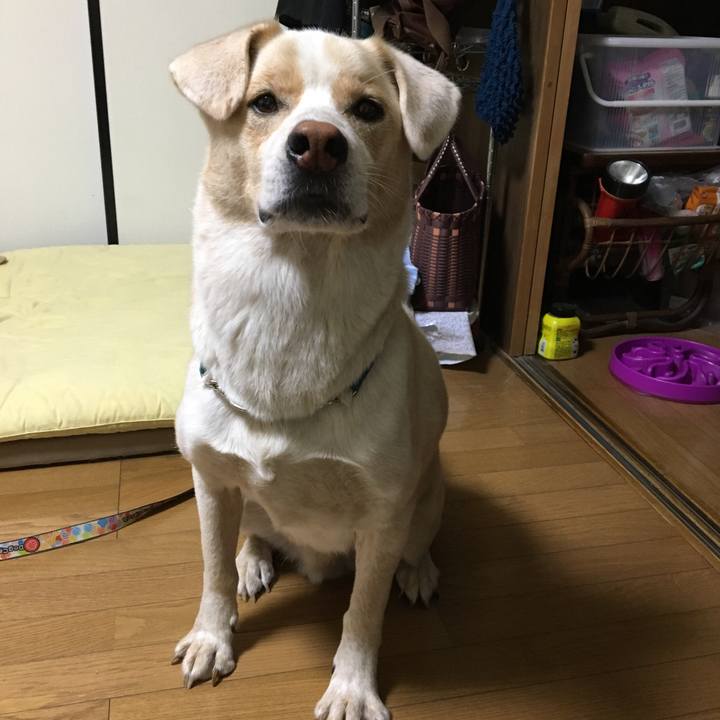 B67e554f 7b31 40db a61f cda4cd171cc5 1537176774031