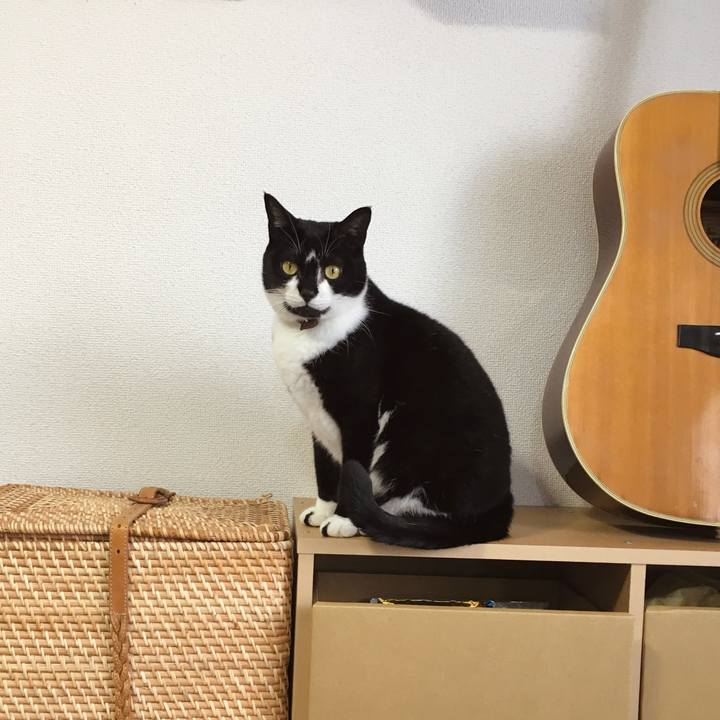 B67e6df4 89fa 494f b2cf 778b43036ee2 1774189724294