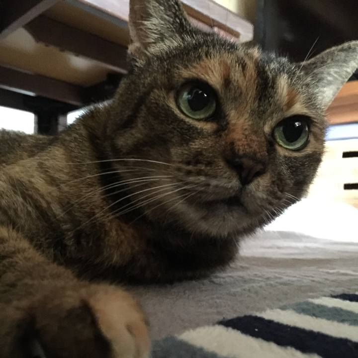 B67ea67a 97fc 4e12 964b ada7087787cb 1531879814795