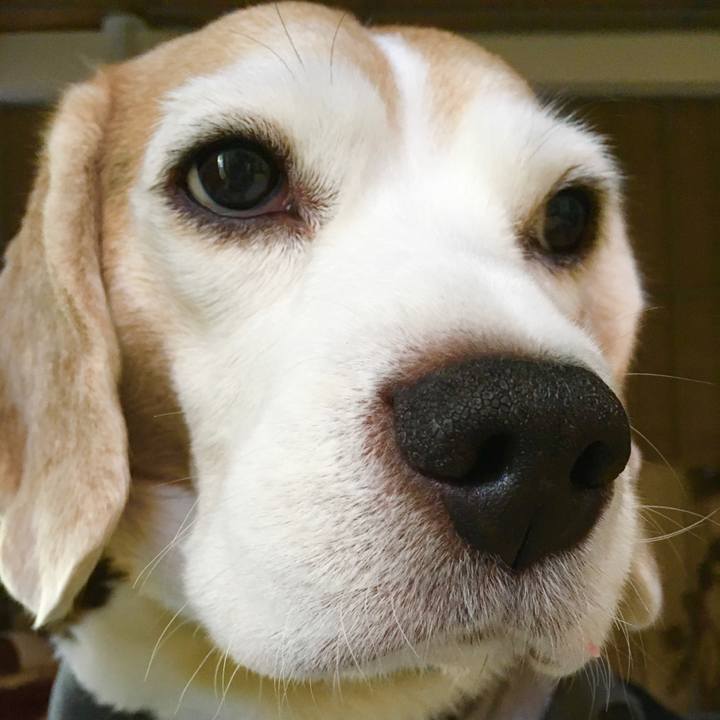 B67ebdda 4d56 4939 bf23 a85677a7da06 1573368140253