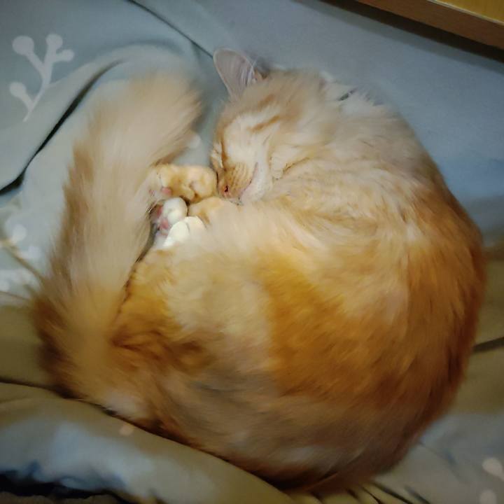 B67ec743 3d7d 4d5e 816c 336dcb1c4d81 1668091746086