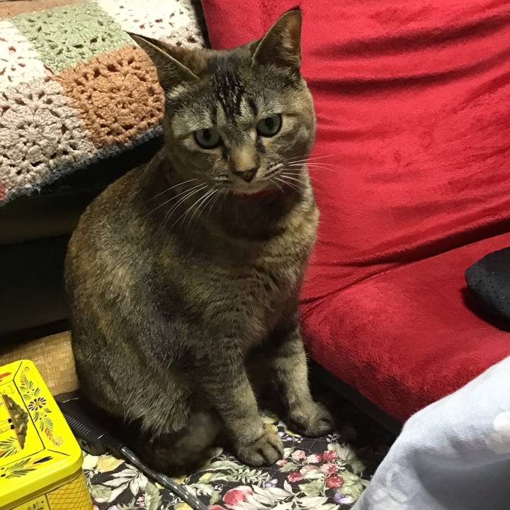 B67ee341 e12b 4cfe 9280 aa25914cbb17 1679921666700