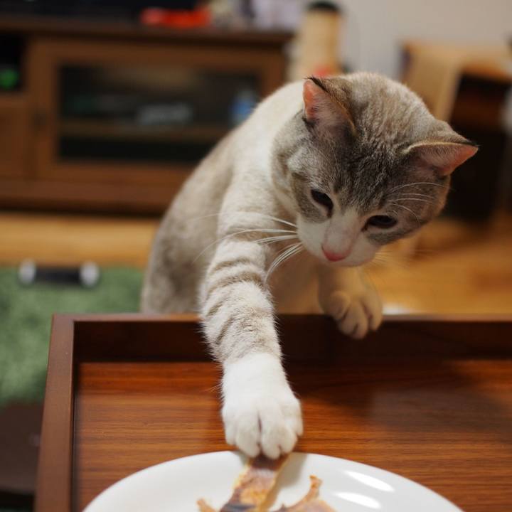 B67ef348 79cb 4112 a2a0 e1cb5108eb57 1548243443001