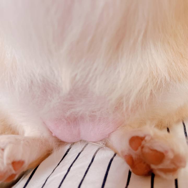 B67ef92b 079f 46c0 b0d8 2f692fab61f4 1657601437099