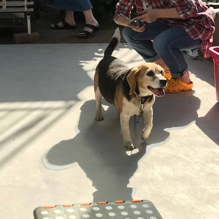 B67f01c1 8b1e 40d2 9286 e4e59ce7e6bb 1525080762191