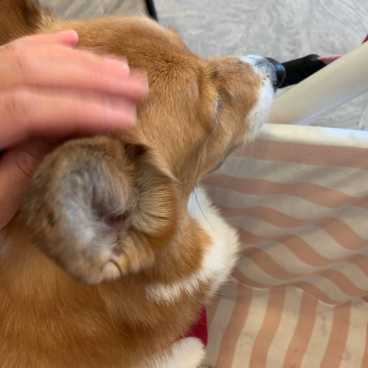 B67f3517 8732 4aab bfa7 c2cd6581495f 1697364938737