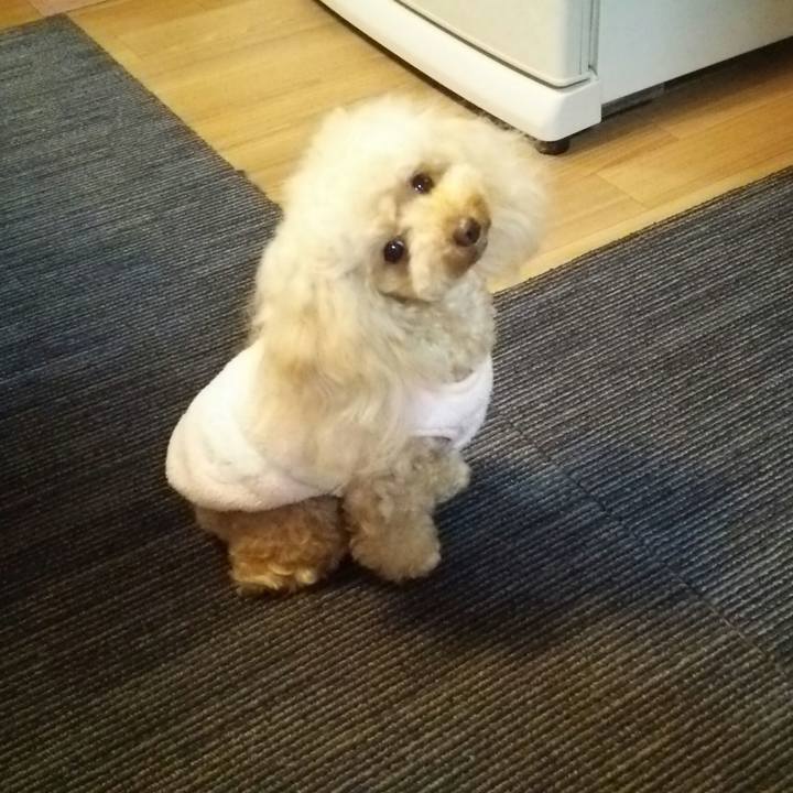 B67f5e80 dd49 4579 95d6 398eb77cc275 1547643700948