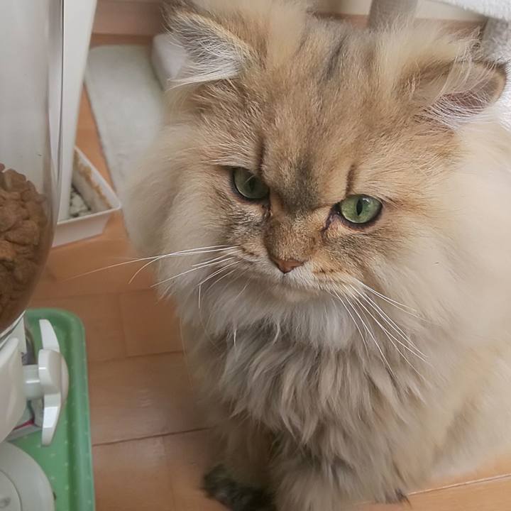 B67fba42 8622 4103 834e fbb847611a5c 1576054408832