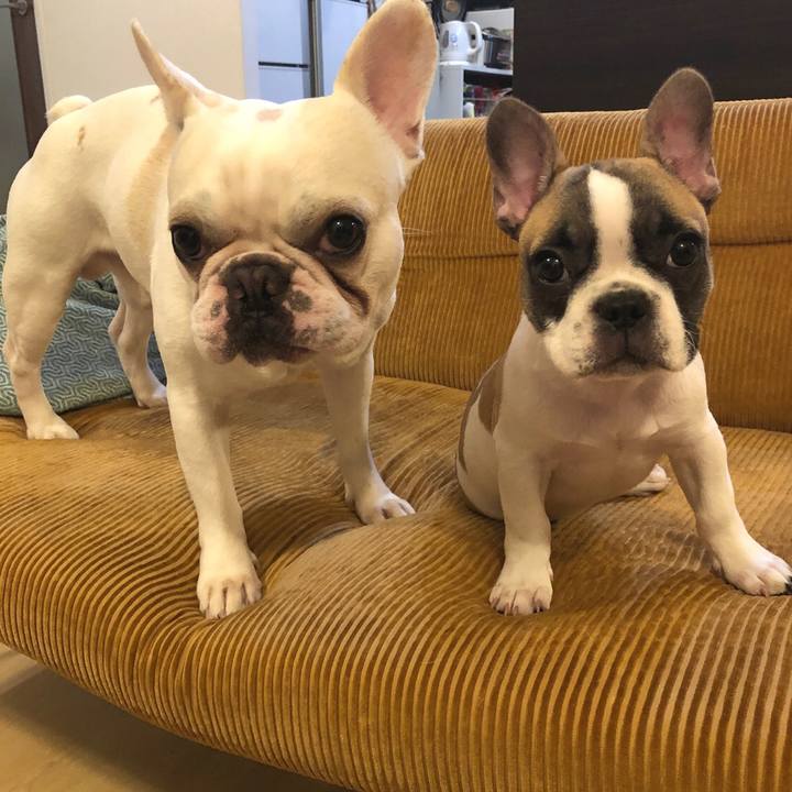 B67fc6bd 2142 489f a1e2 089643f63958 1557753970052