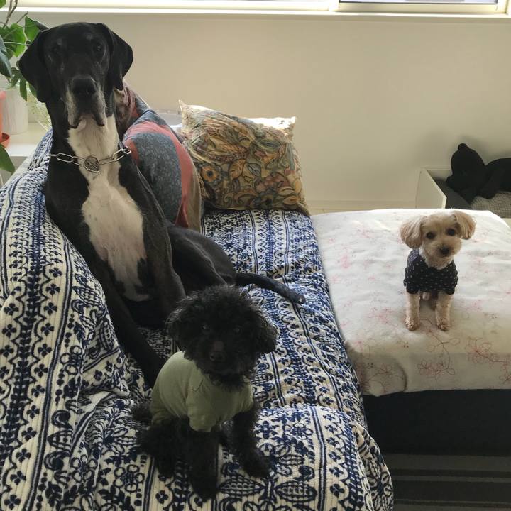 B680171f d4b2 4595 874c dd1c91555b5e 1523227842285