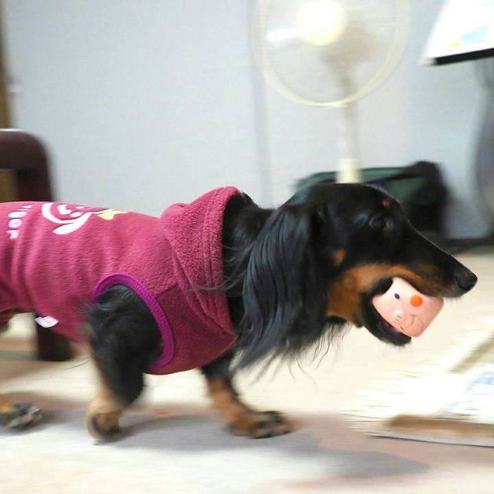 B6806e76 475d 4fd6 a216 c9cd0fafbefe 1574918851670