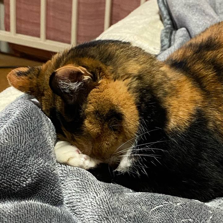 B68075bf e0b0 44ac ae4b cb77783a6141 1639915025580