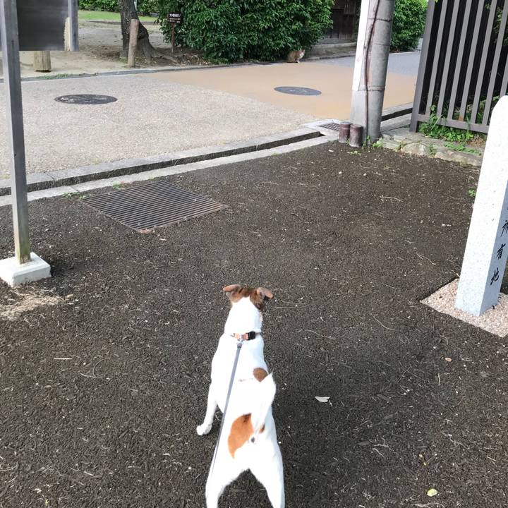 B680a292 81da 40a2 aece e90d172d20f8 1526727964518