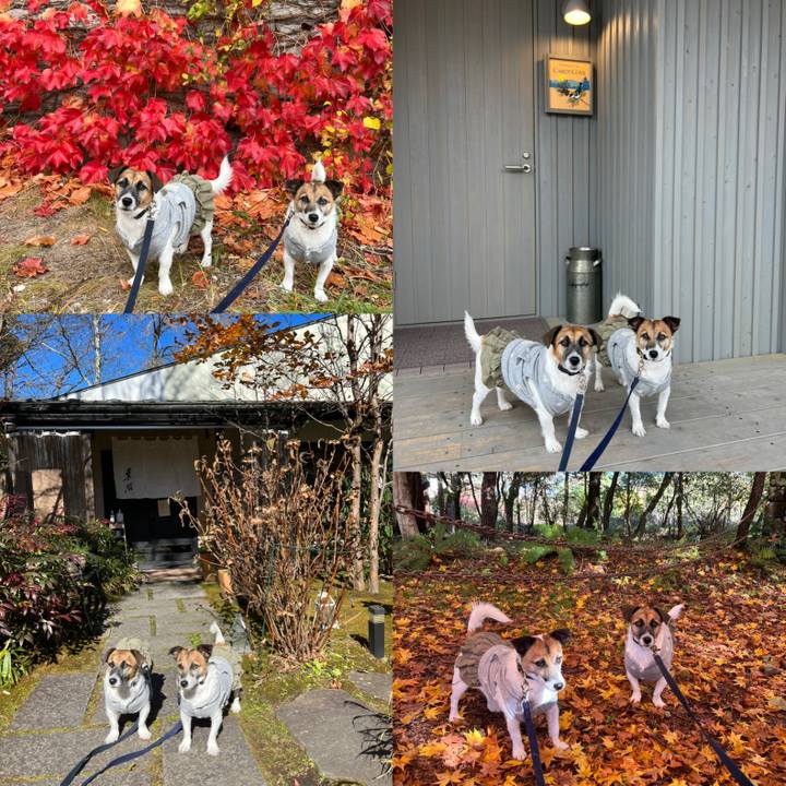 B680ab99 1c32 4f47 89e6 885222875de7 1667460746723