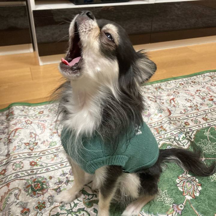 B680bf29 dc72 4a10 a119 686c516dfded 1669210757598