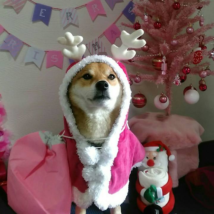 B6810ef3 0b42 483a ae77 58bd0c76c1f8 1577015680253